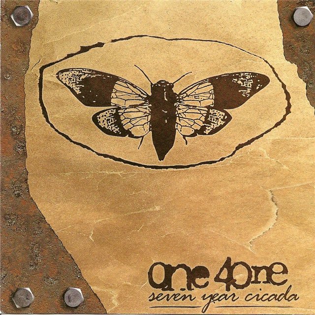 ONE 4 ONE - Seven Year Cicada cover 