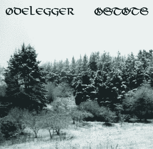 OSTOTS - Ødelegger / Ostots cover 