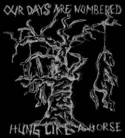 OUR DAYS ARE NUMBERED - Hung Like A Horse cover 