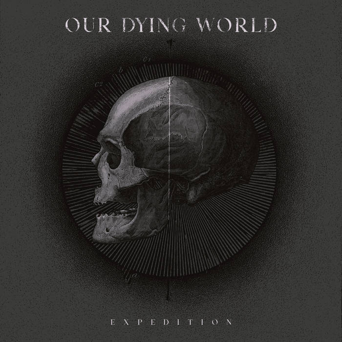 OUR DYING WORLD - Liberation cover 