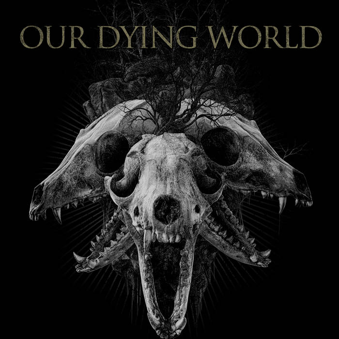 OUR DYING WORLD - Post Mortem cover 