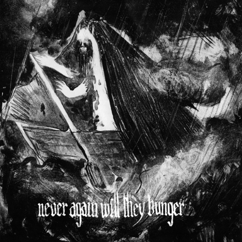 OVER THE VOIDS... - Never Again Will They Hunger cover 