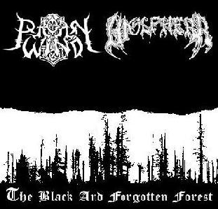 PAGAN WIND - The Black and Forgotten Forest cover 