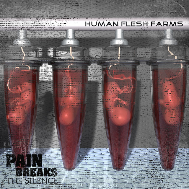 PAIN BREAKS THE SILENCE - Human Flesh Farms cover 