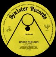 PALI GAP - Under The Sun cover 