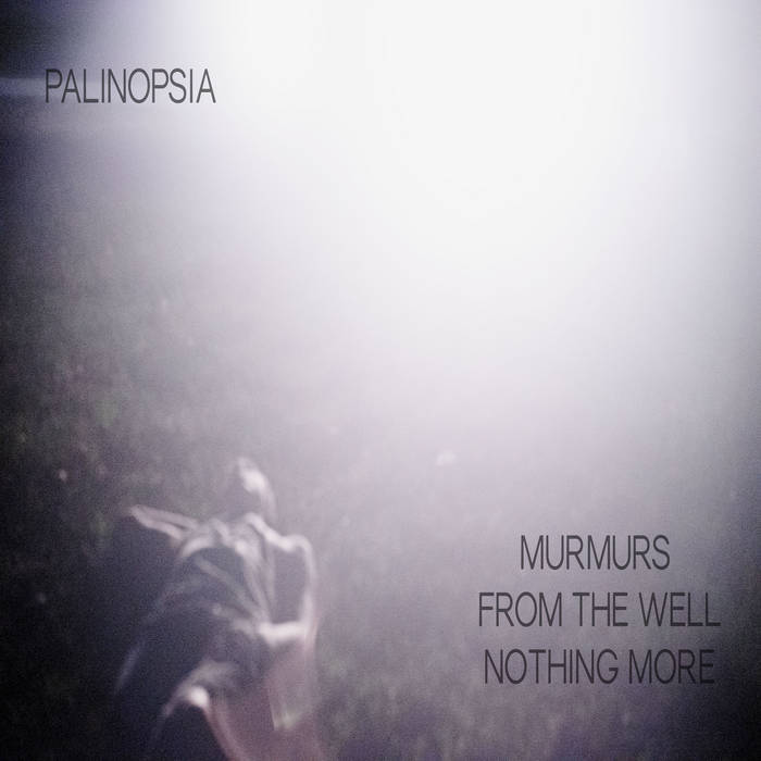 PALINOPSIA - Murmurs From The Well Nothing More cover 