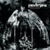 PANCHRYSIA - Deathcult Salvation cover 