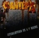 PANTERA - Revolution Is My Name cover 