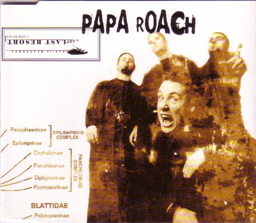 PAPA ROACH - Last Resort cover 