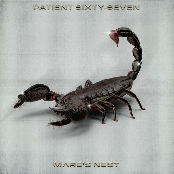 PATIENT SIXTY-SEVEN - Mares Nest cover 