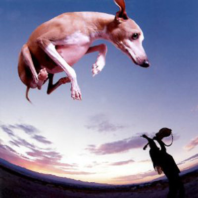 PAUL GILBERT - Flying Dog cover 