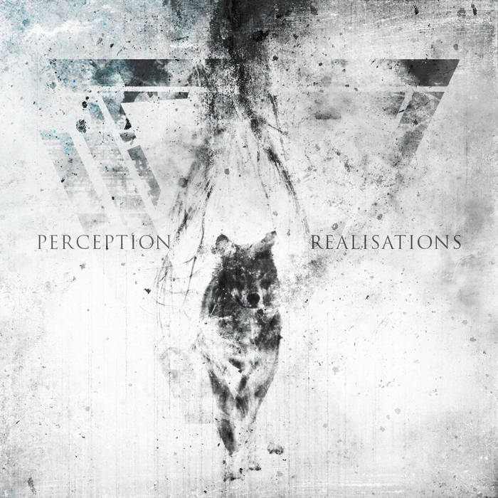 PERCEPTION - Realisations cover 