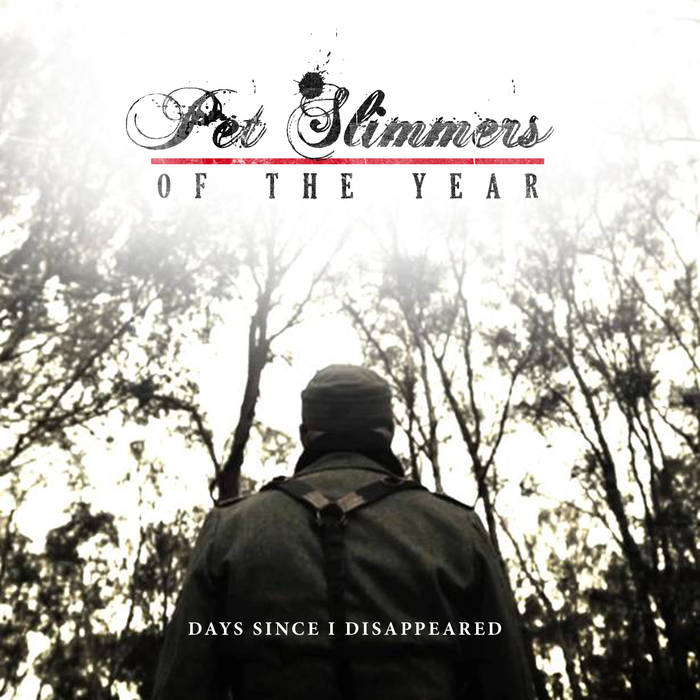 PET SLIMMERS OF THE YEAR - Days Since I Disappeared cover 