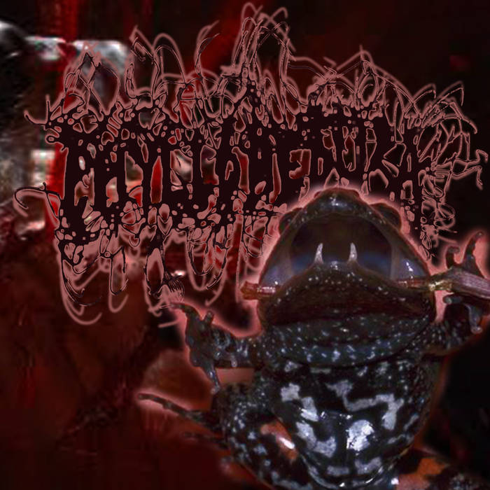 PHYLLOMEDUSA - Blood Drawn The Adelotus Way cover 