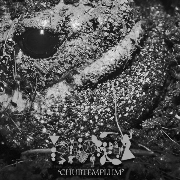 PHYLLOMEDUSA - Chubtemplum cover 