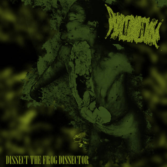 PHYLLOMEDUSA - Dissect The Frog Dissector cover 