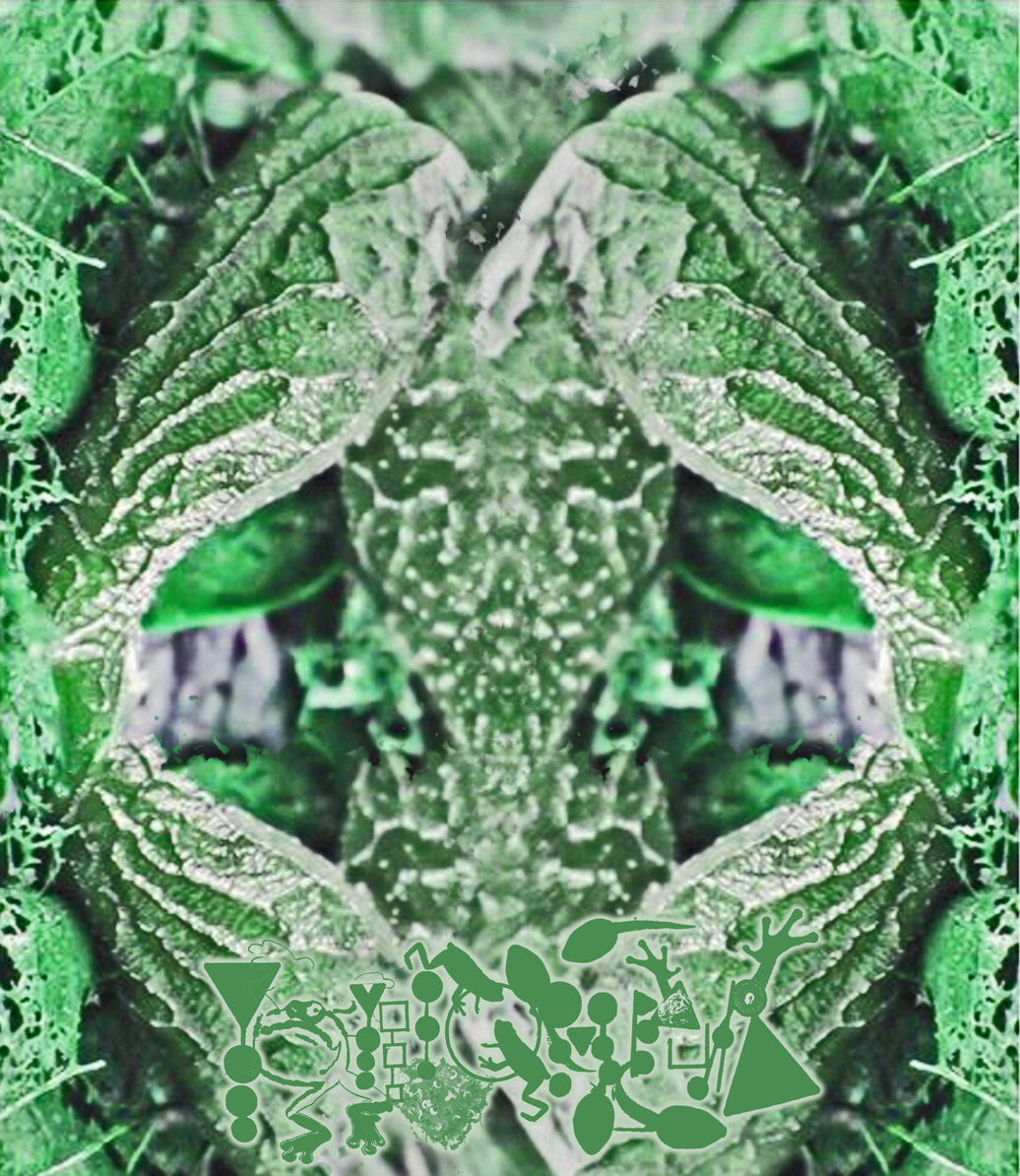 PHYLLOMEDUSA - Green Mothaur cover 