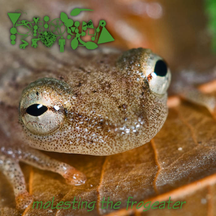 PHYLLOMEDUSA - Molesting The Frogeater cover 