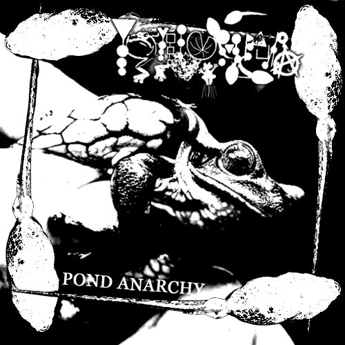 PHYLLOMEDUSA - Pond Anarchy cover 