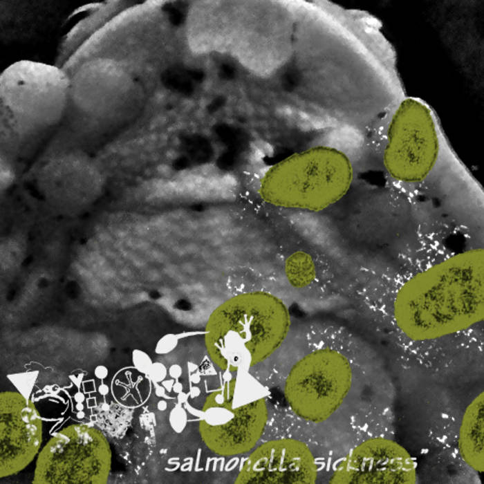 PHYLLOMEDUSA - Salmonella Sickness cover 