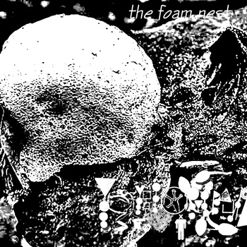 PHYLLOMEDUSA - The Foam Nest (2010) cover 