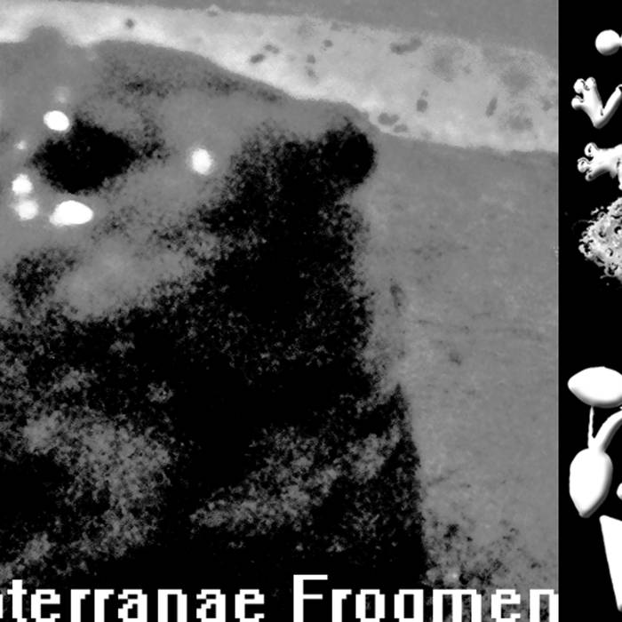 PHYLLOMEDUSA - The Subterranae Frogmen cover 
