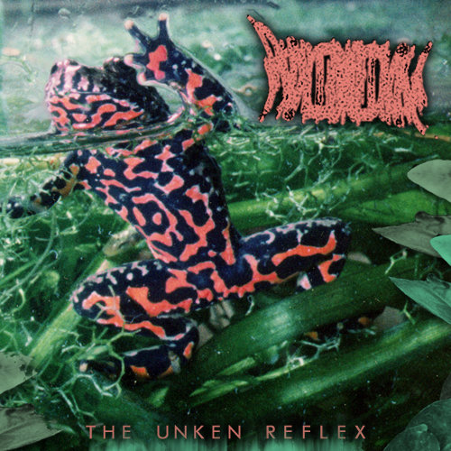 PHYLLOMEDUSA - The Unken Reflex cover 