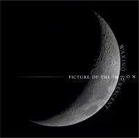 PICTURE OF THE MOON - Waxing Crescent cover 