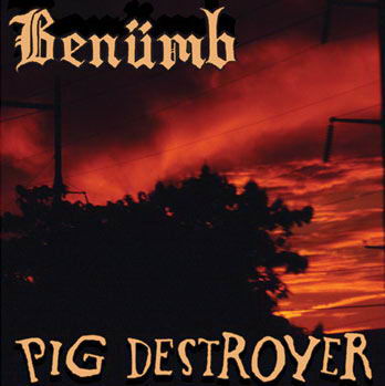 PIG DESTROYER - Benümb / Pig Destroyer cover 