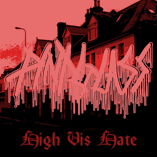 PINTGLASS - High Vis Hate cover 