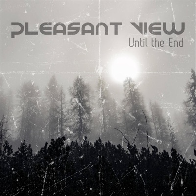 PLEASANT VIEW - Until The End cover 