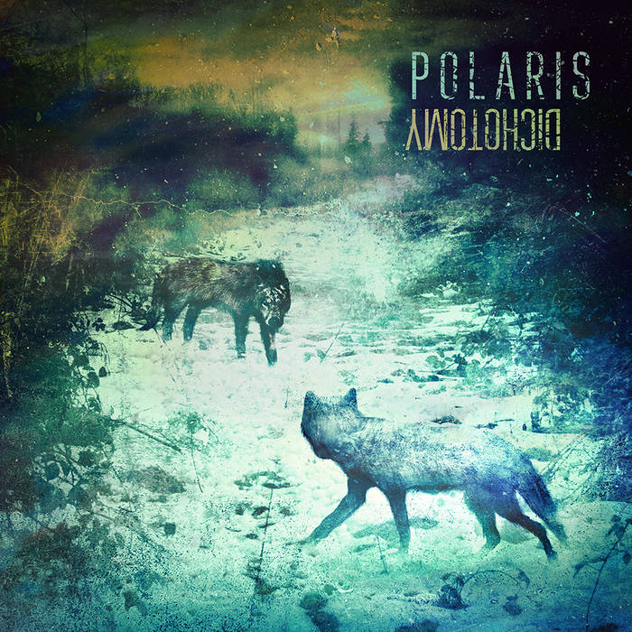 POLARIS - Dichotomy cover 