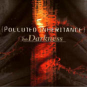 POLLUTED INHERITANCE - Into Darkness cover 
