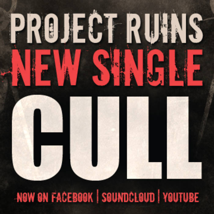 PROJECT RUINS - Cull cover 