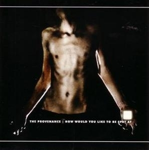 THE PROVENANCE - How Would You Like to Be Spat At cover 