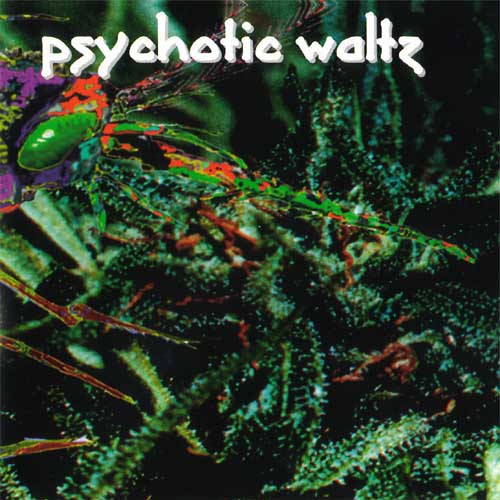 PSYCHOTIC WALTZ - Mosquito cover 