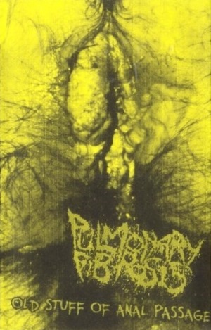 PULMONARY FIBROSIS - Old Stuff of Anal Passage cover 
