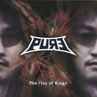 PURE - The Flap Of Wings cover 