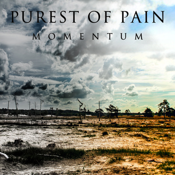 PUREST OF PAIN - Momentum cover 