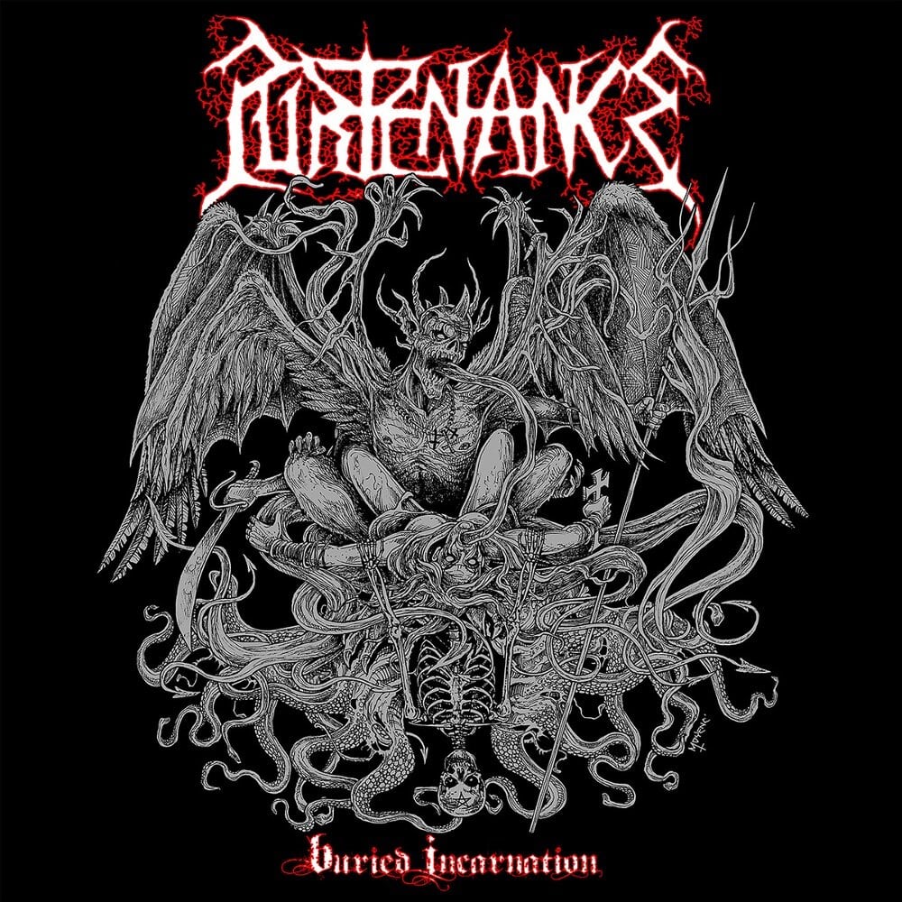 PURTENANCE - Buried Incarnation cover 