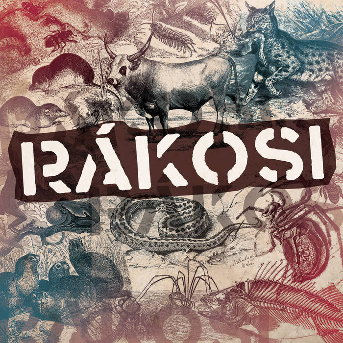 RÁKOSI - VI cover 