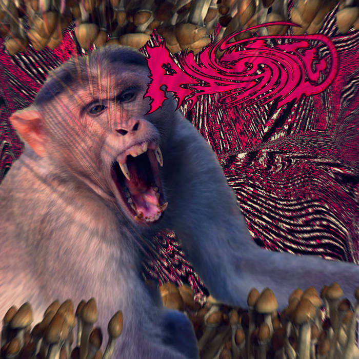 RAT HOLE - Da Stoned Ape cover 