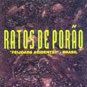 RATOS DE PORÃO - Feijoada Acidente? - Brasil cover 