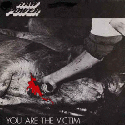 RAW POWER - You Are the Victim cover 