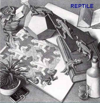 REPTILE - Reptile cover 