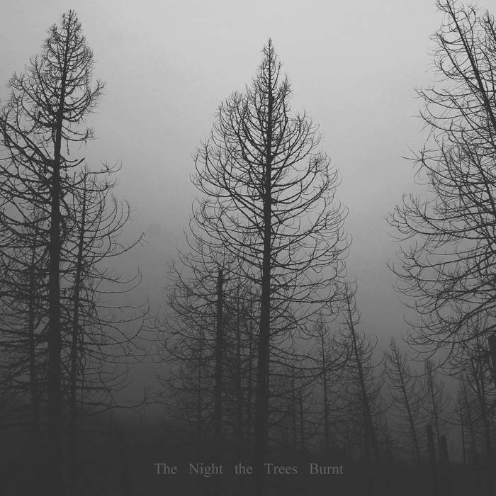 RISE OF THE SIMIANS - The Night The Trees Burnt cover 