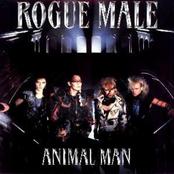 ROGUE MALE - Animal Man cover 