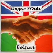 ROGUE MALE - Belfast cover 
