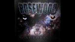 ROSEWOOD - Auroras cover 