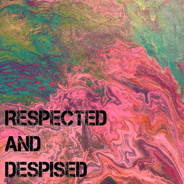 SAILOR HUNTER - Respected And Despised cover 